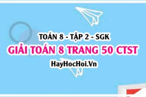 Giải Toán 8 trang 50 tập 2 Chân trời sáng tạo